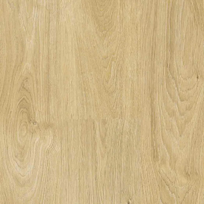 Organic Oak 004