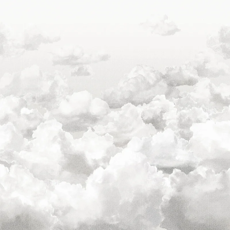 Wallpaper resource sites free-Clouds Stone Grey Wall Mural from the Crafted Collection