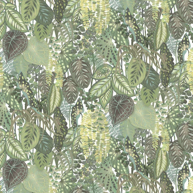 Dynamic starry sky wallpaper-Greenery Cotton Wall Mural from the Greenhouse Collection