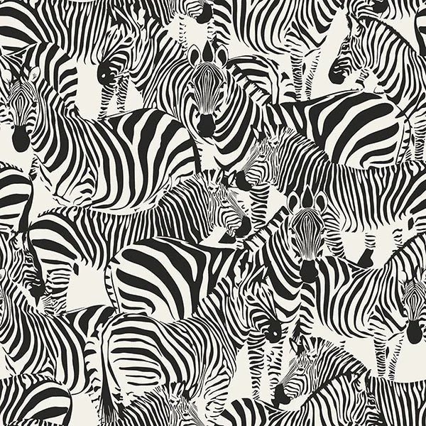 Wallpaper favorites collection free-Jemima Black Zebra Wallpaper from Design Department by Brewster