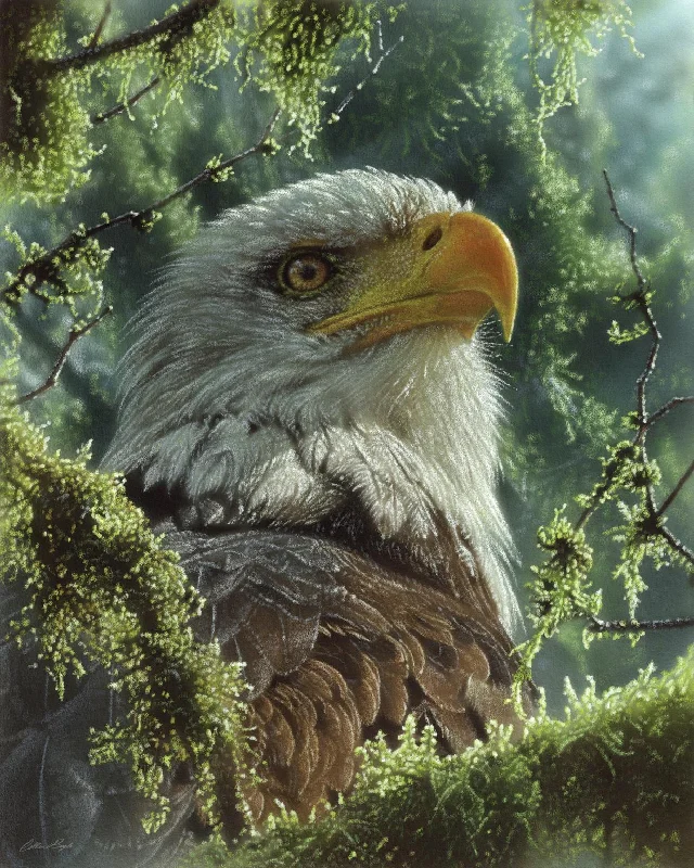 Wall decor with zen designs-Bald Eagle By Collin Bogle - Green