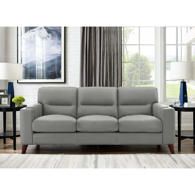 comfortable sofa with soft back cushions -Elm - Leather Sofa