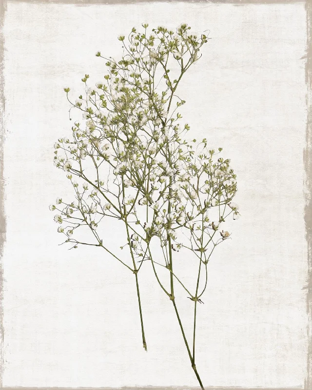 Wall decor with upcycled materials-Farmhouse Pressed Flower I By Natalie Carpentieri - Pearl Silver