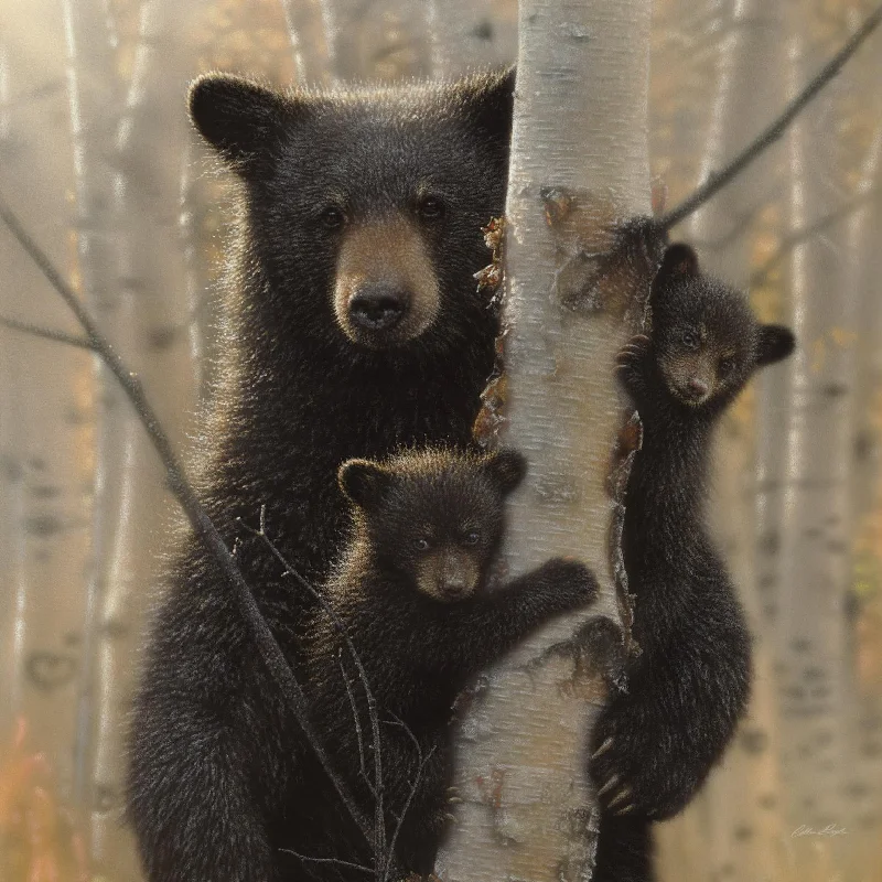 Wall decor with wire art-Framed - Black Bear By Collin Bogle - Dark Brown