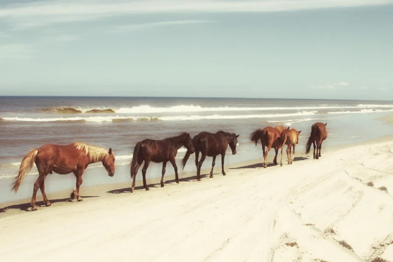 Wall decor with string art-Horses On The Beach By Kathy Mansfield - Light Brown