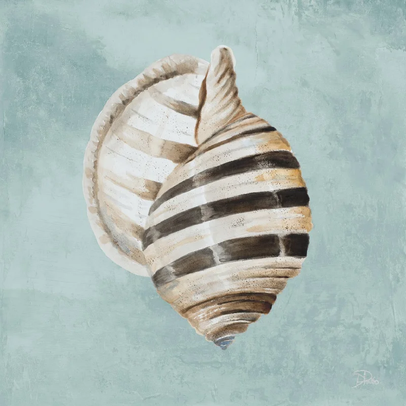 Wall decor with 3D effects-Modern Shell On Teal I By Patricia Pinto - Light Blue