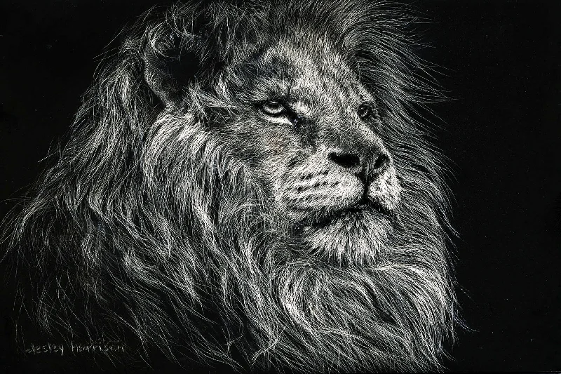 Wall decor with ceiling accents-Small - African Lion By Lesley Harrison - Dark Gray