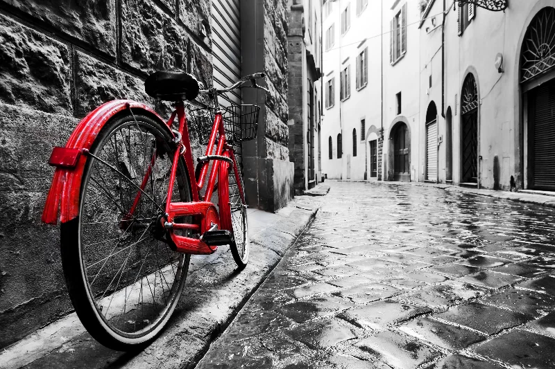 Wall decor with background art-Small - Red Bicycle - Dark Gray