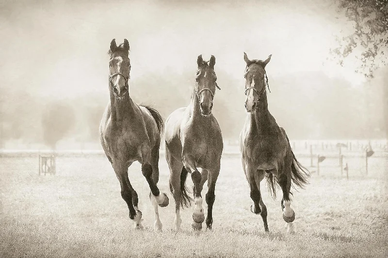 Wall decor with lightweight designs-The Young Ones By Lars Van De Goor - Blue